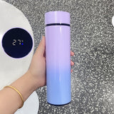 smart digital water bottle